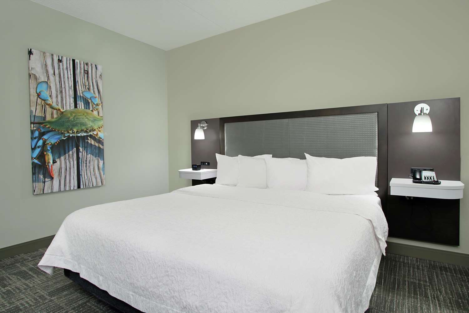 Hampton Inn Hagerstown-I-81