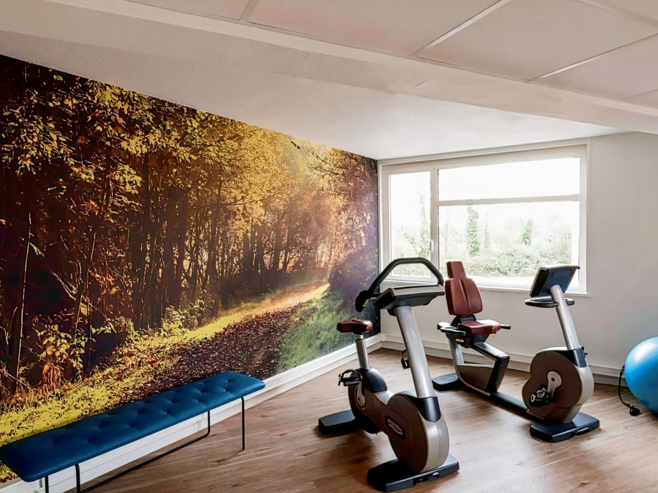 ibis Styles Lyon Bron Eurexpo