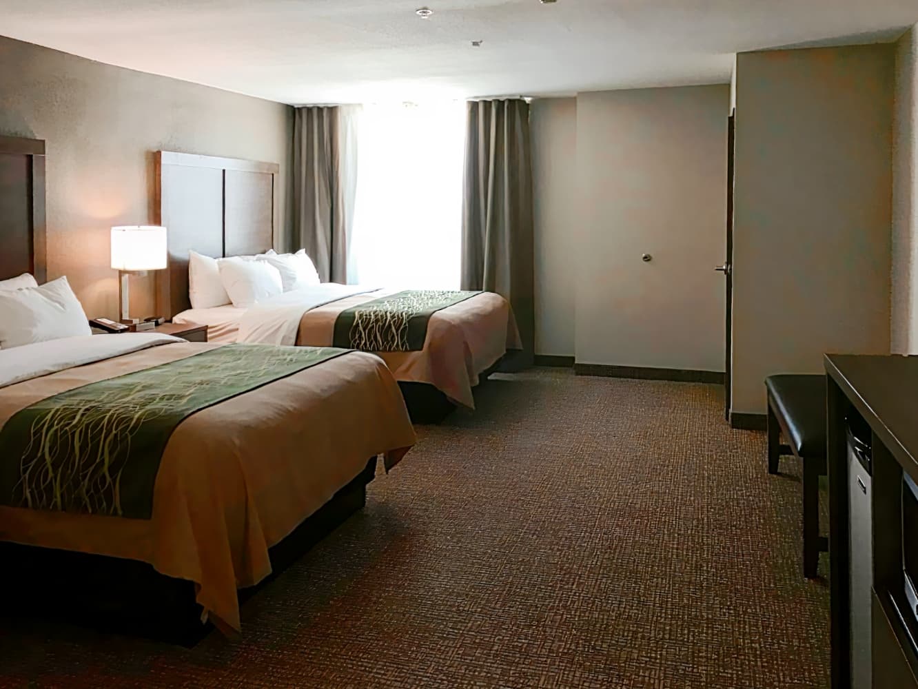 Comfort Inn & Suites Snyder