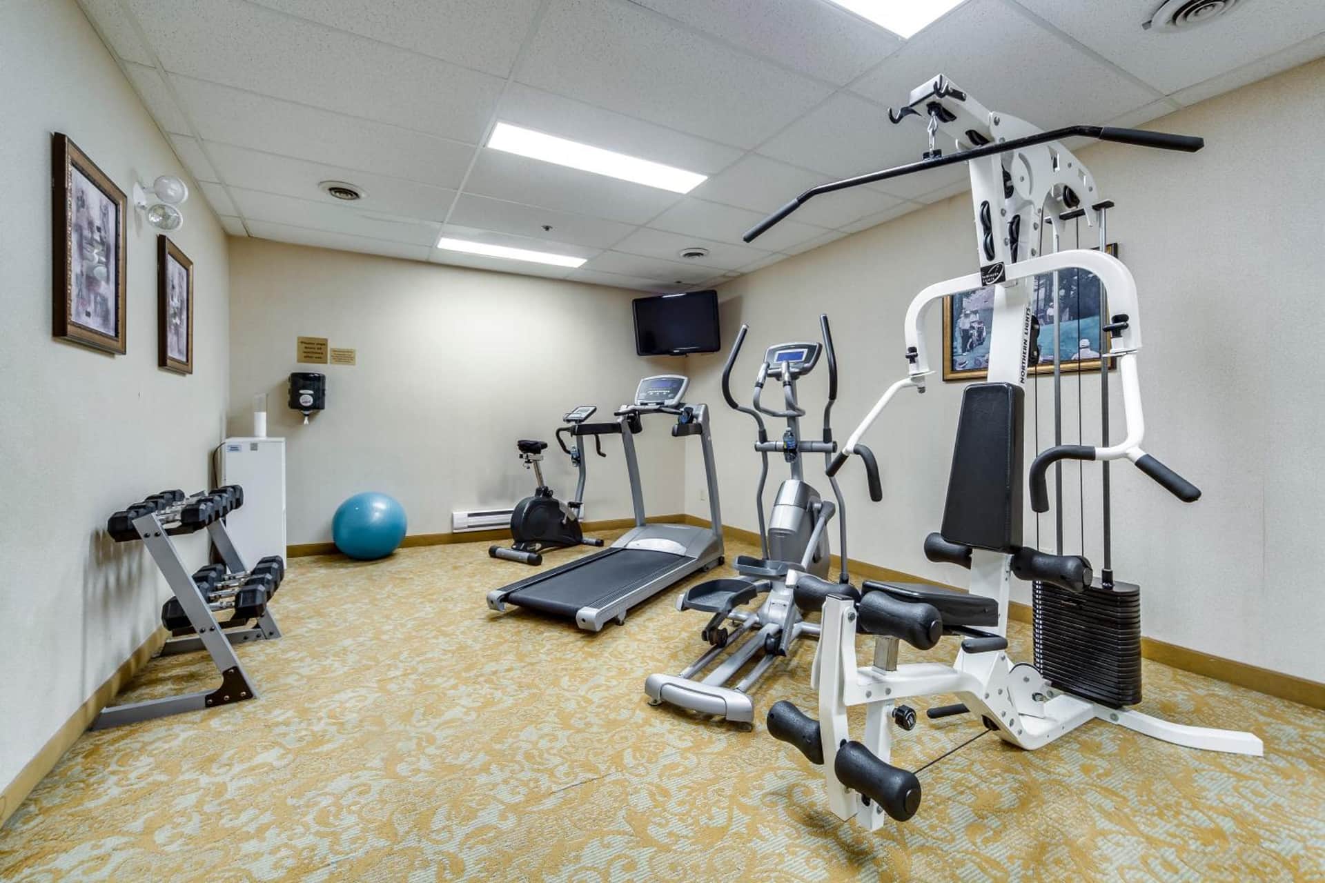 Monte Carlo Inns Brampton Suites