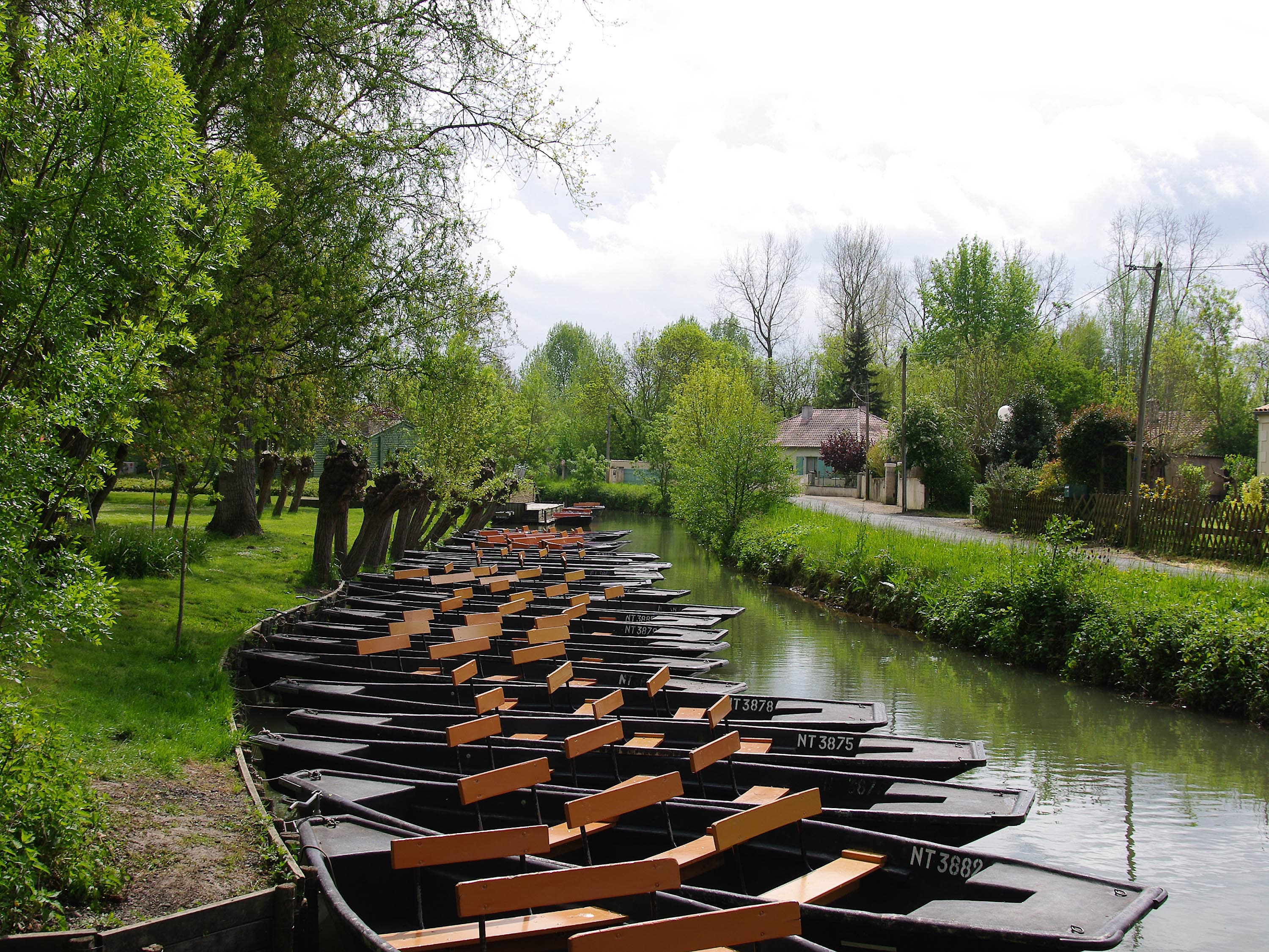 ibis Niort Marais Poitevin