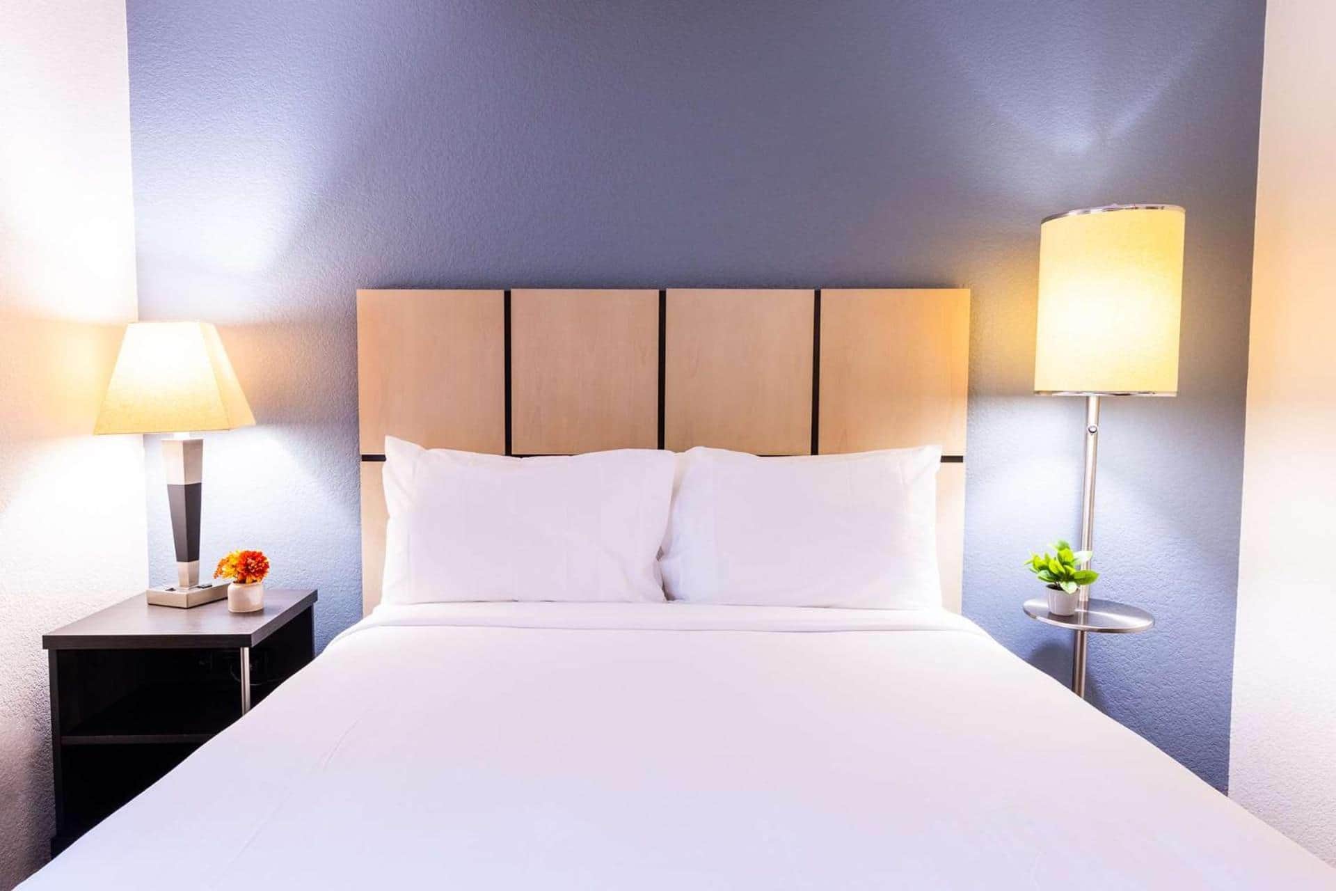 Sonesta Simply Suites Austin The Domain Area