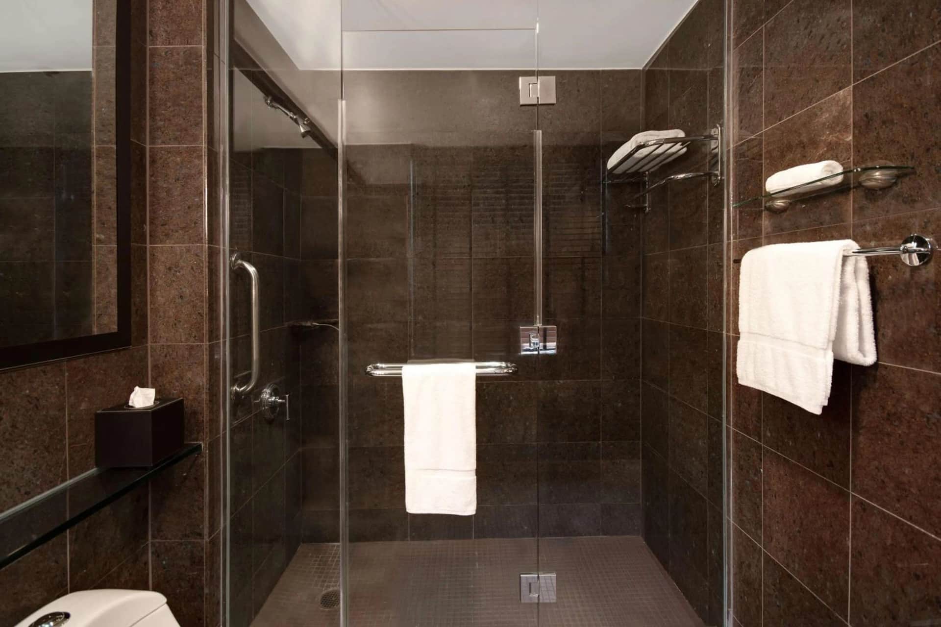 The Sam Houston Hotel, Curio Collection by Hilton