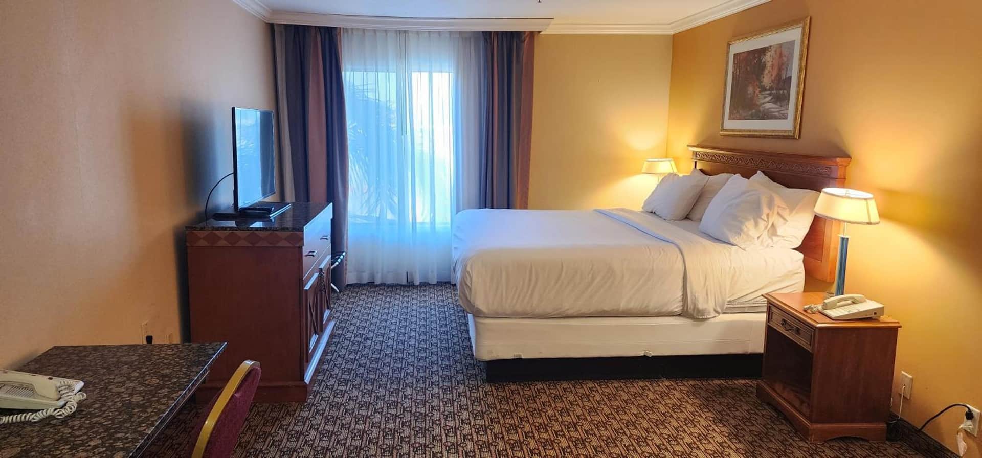 Hotel XOLA