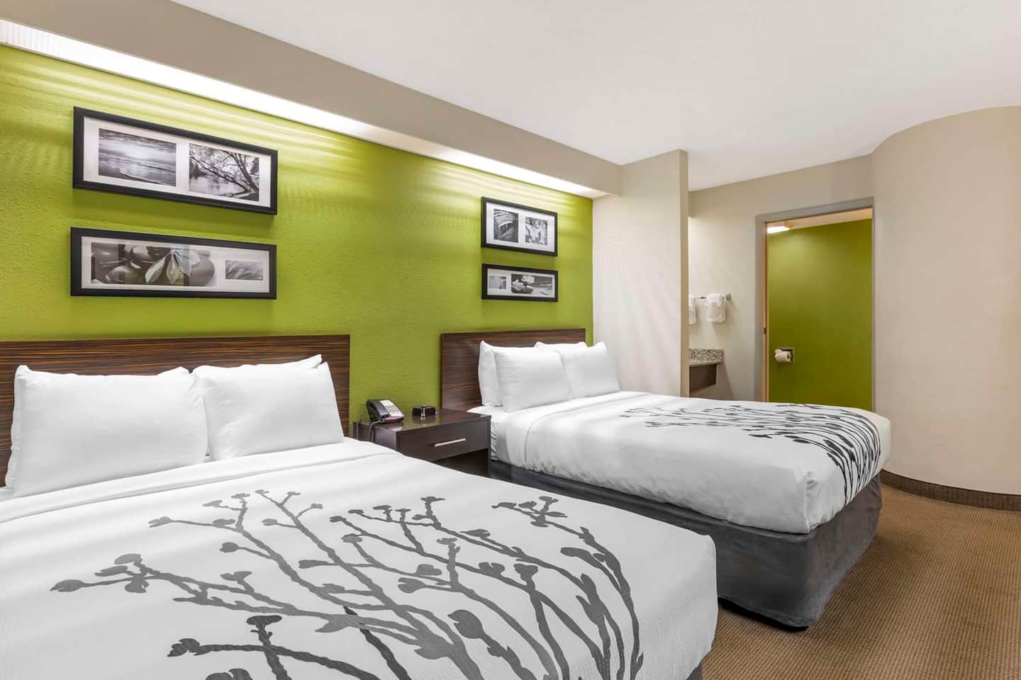 Sleep Inn at Greenville Convention Center