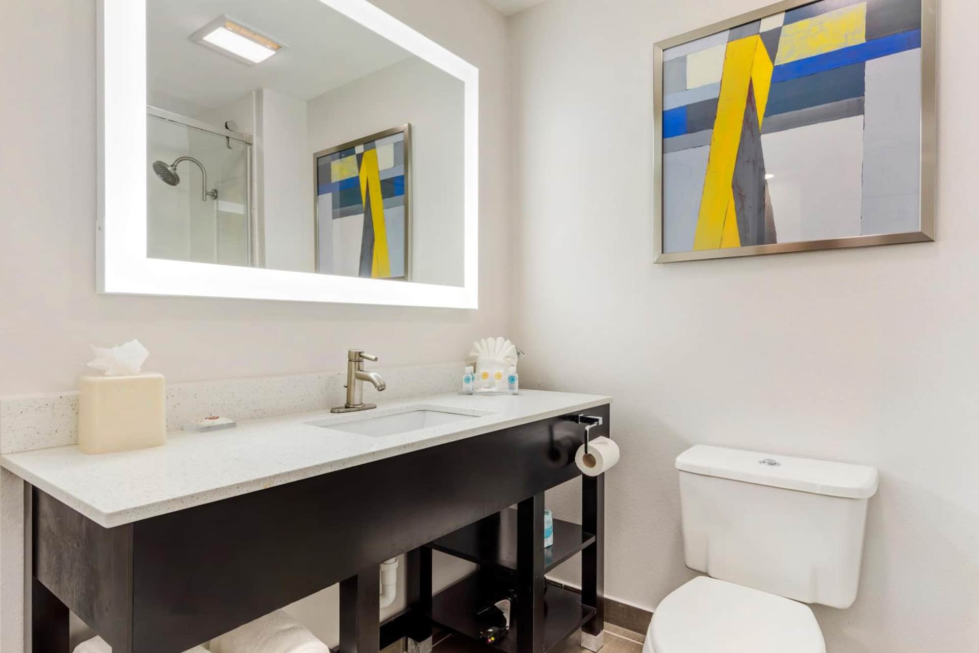 Comfort Inn & Suites Irving Las Colinas DFW